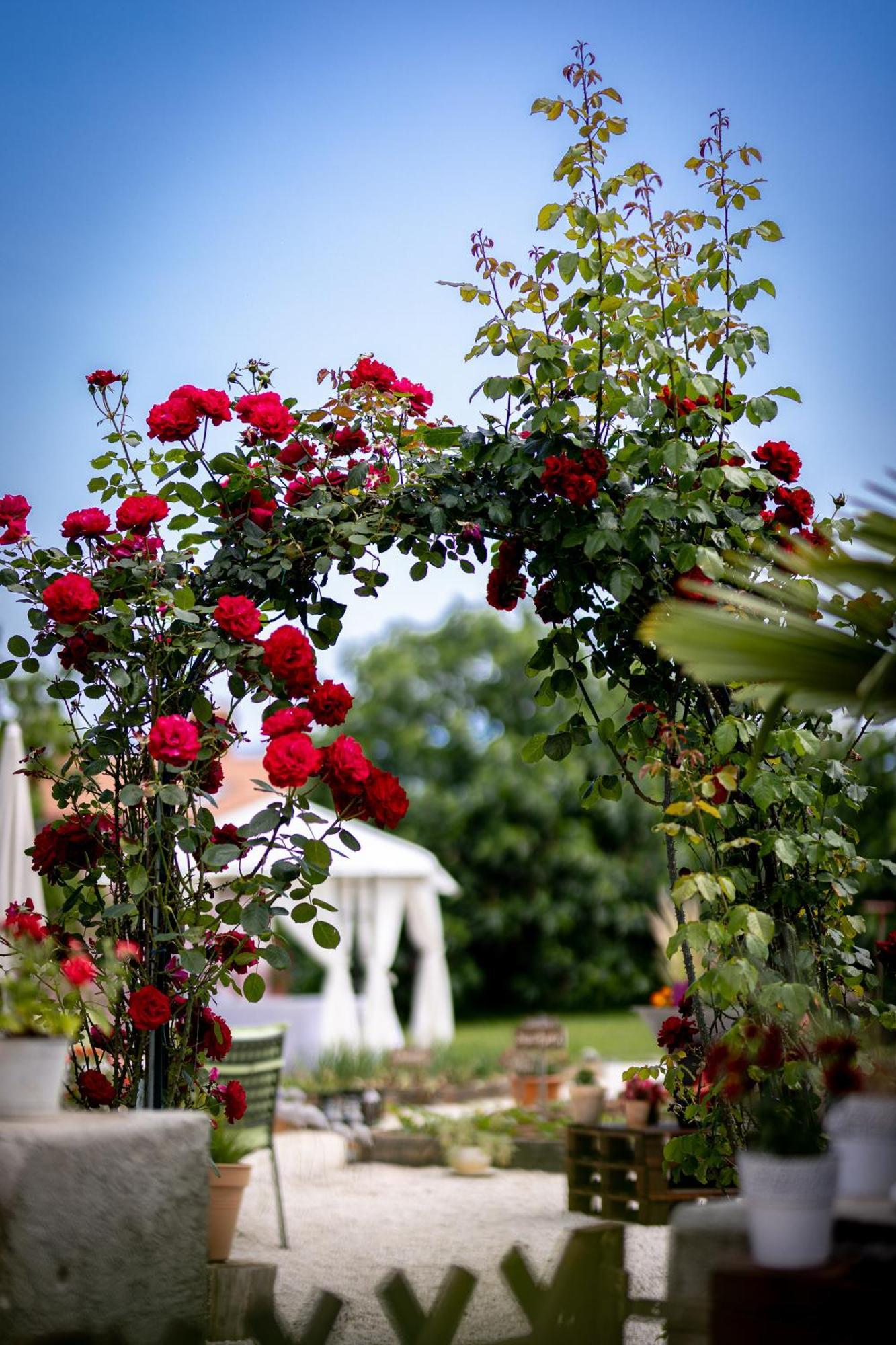 Villa Nada Ловран Екстериор снимка
